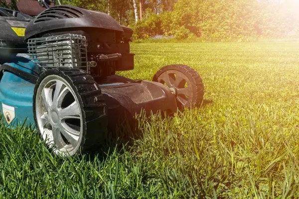 Can You Mow Wet Grass in Van Nuys, CA