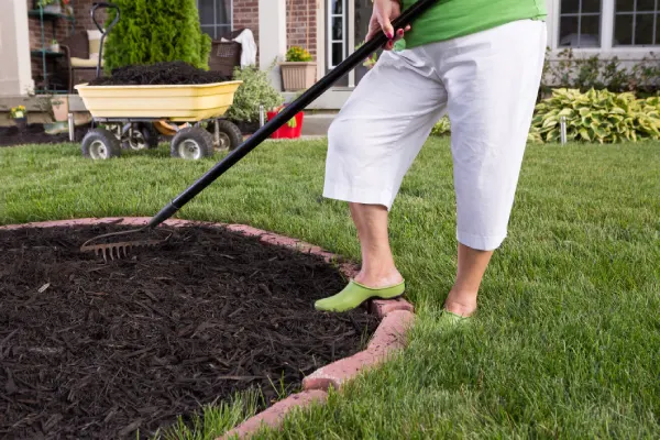 How Long Does Mulch Last in Van Nuys, CA