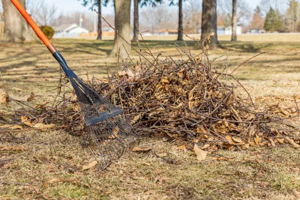 How to Clean a Backyard in Van Nuys, CA