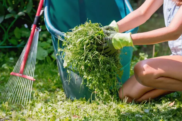 How to Clear a Yard Full of Weeds in Van Nuys, CA