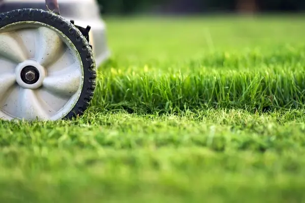 How to Mow a Lawn in Van Nuys, CA