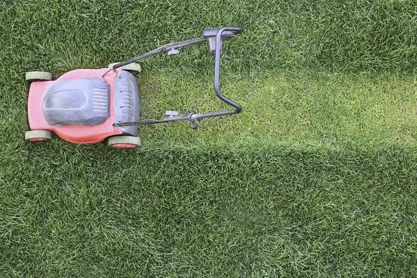 Lawn Mowing in Van Nuys, CA