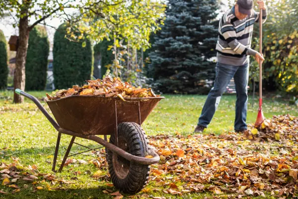 Quality Yard Cleanup in Van Nuys, CA