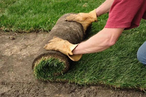 Sod Installation in Van Nuys, CA