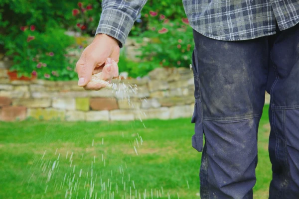 When is the best time to fertilize your lawn in Van Nuys, CA