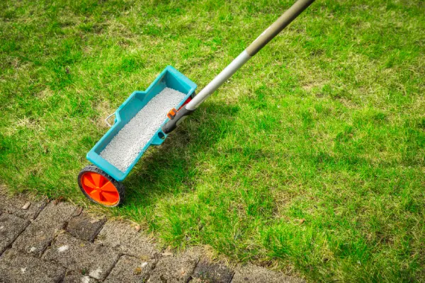 When is the best time to fertilize your lawn in Van Nuys, CA